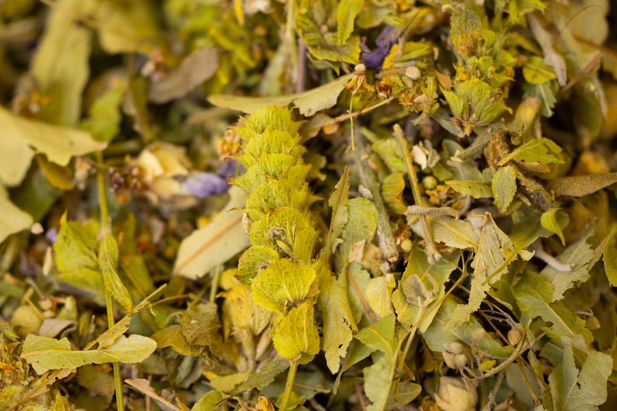 Turmeric and curcumin for joint flexibility
